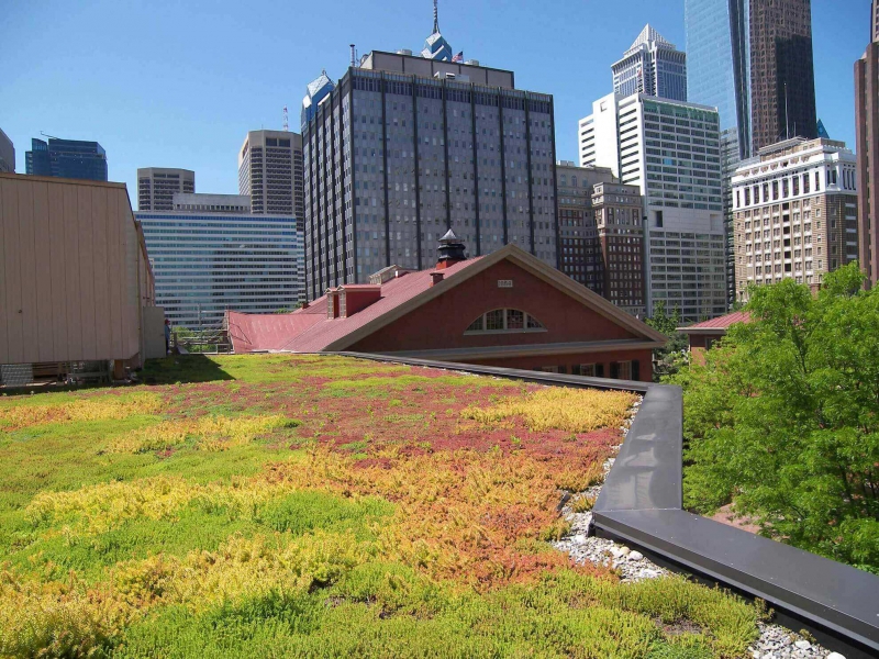 paysagiste-LA CROIX SUR ROUDOULE-min_green-roof-portfolio-4